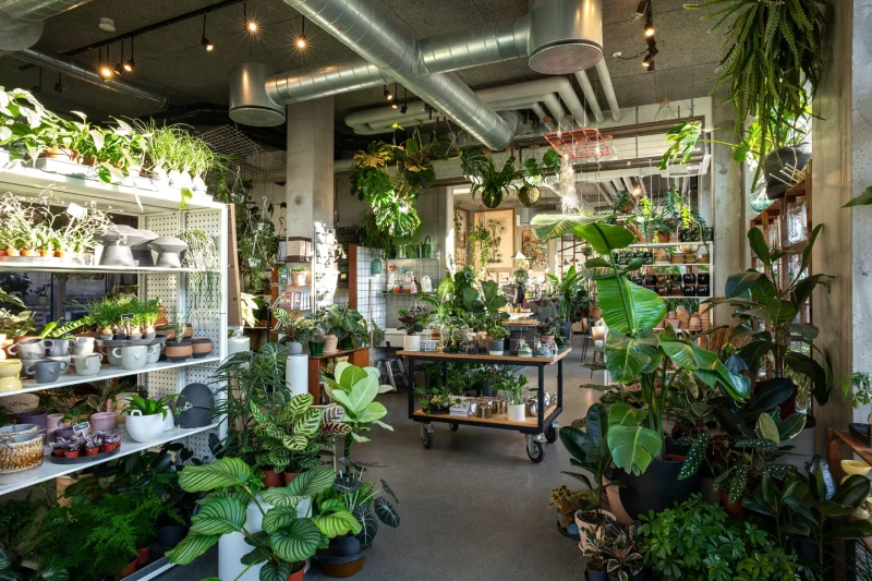 Café Boutique Plantecaféen