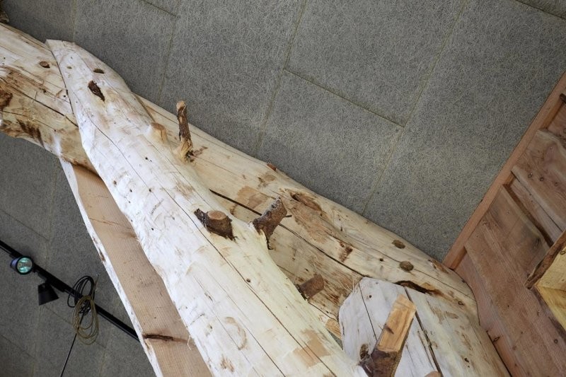 Parc d'attractions WOW Park